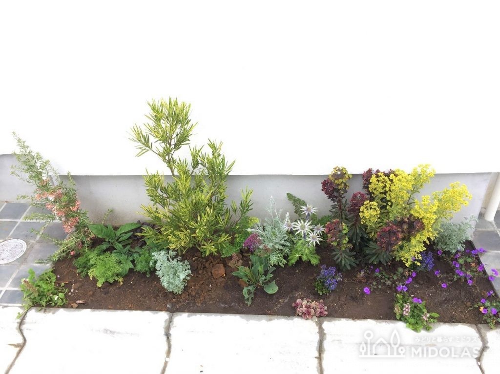 植物の持つ色を効果的に使ったおしゃれな花壇